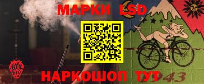 PSILOCYBIN Кунгур